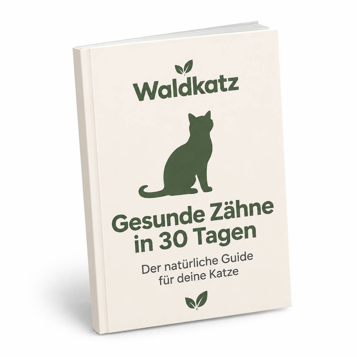 Zahnpflege-Guide (E-Book)